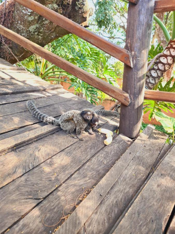 Hotel Fazenda Villa Vitta 圣代佩德罗 外观 照片