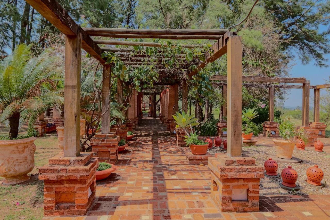 Hotel Fazenda Villa Vitta 圣代佩德罗 外观 照片
